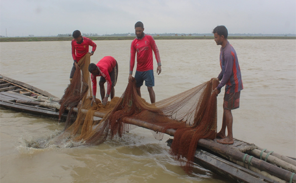 ভরা বর্ষায় মাছশূন্য হাওর, জেলেদের হাহাকার