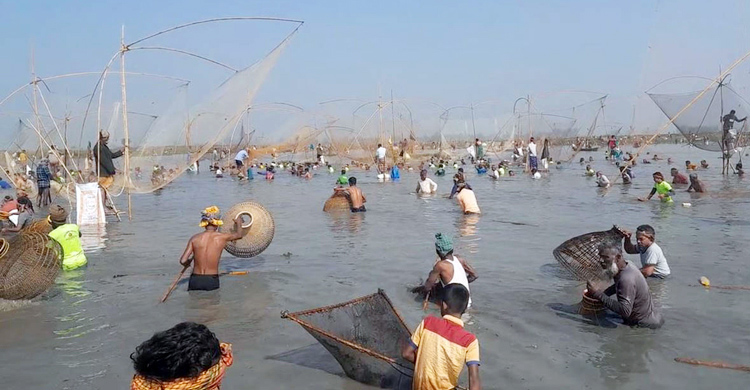 বড়য়ান বিলে 'পলো বাওয়া' উৎসব