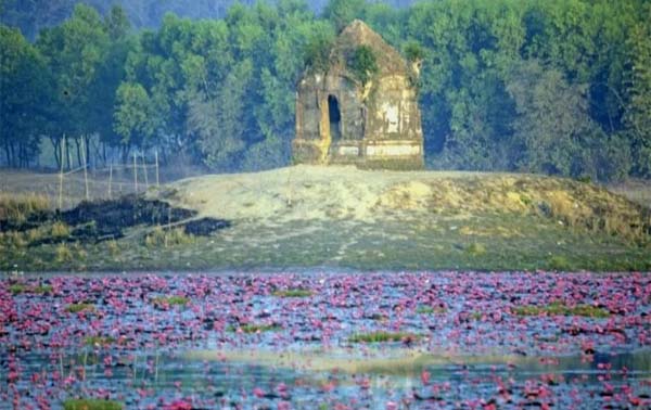 শাপলা বিলের রহস্যময় সমাধিসৌধ!