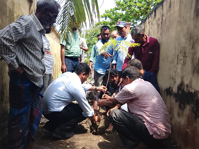 শাল্লায় বৃক্ষরোপণ ও বৃক্ষ বিতরণ কর্মসূচি অনুষ্ঠিত