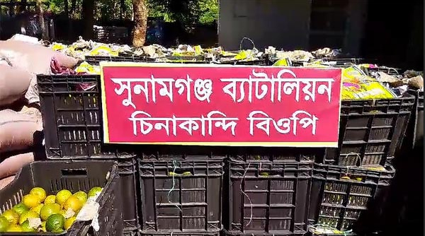 সুনামগঞ্জে সীমান্তে অর্ধকোটি টাকার চোরাই পণ্য জব্দ