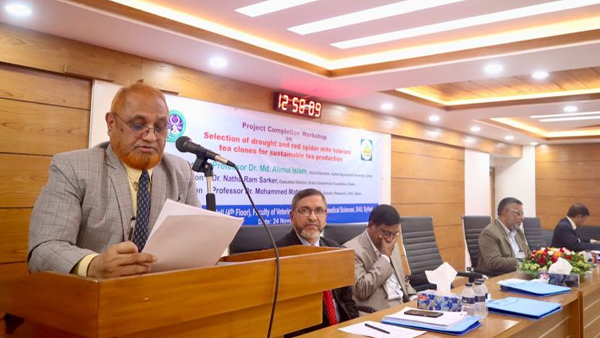 চায়ের উৎপাদন বৃদ্ধি করে বৈদেশিক মুদ্রা অর্জন সম্ভব : সিকৃবি ভিসি