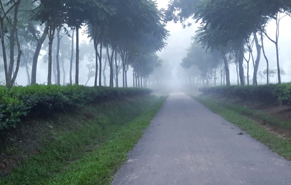 মৌলভীবাজারে শীতের তীব্রতা বাড়ছে