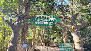 লাউয়াছড়ায় ৪ দিনে সাড়ে ৪ লাখ টাকার রাজস্ব আদায়