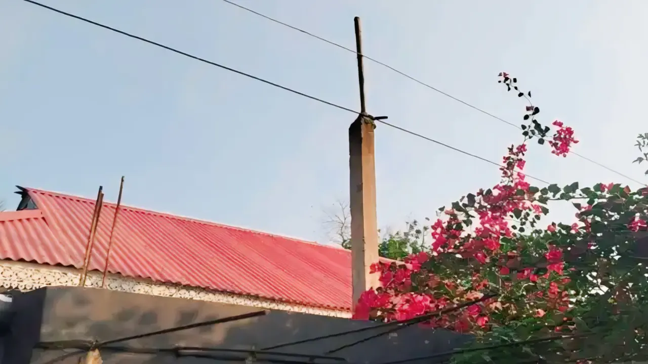 পল্লীবিদ্যুতের ঝুঁকিপূর্ণ লাইন, &lsquo;মৃত্যুফাঁদে&rsquo; আতঙ্কে বাসিন্দারা