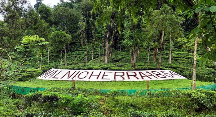 চা উৎপাদনে আয়ের চেয়ে ব্যয় বেশি