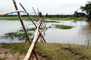 বাঁশের সাঁকোই ভরসা