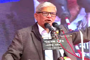 ‘বিএনপি একটি উদারপন্থী গণতান্ত্রিক দল’