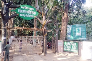 পর্যটকশূন্য ‘চায়ের রাজধানী’