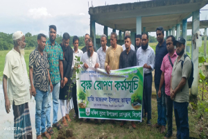 বৃক্ষরোপণ সবুজ বাংলাদেশ গড়ে তুলতে গুরুত্বপূর্ণ ভূমিকা রাখবে