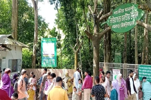 লাউয়াছড়ায় পর্যটকের উপচে পড়া ভিড় লাউয়াছড়ায় পর্যটকের উপচে পড়া ভিড়