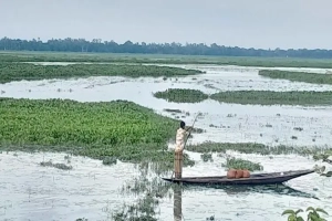 নিষিদ্ধ জালে অস্তিত্ব সংকটে দেশীয় মাছ