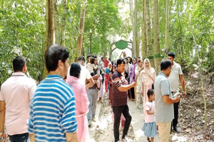 পূজার ছুটিতে পর্যটকের ঢল মৌলভীবাজারে