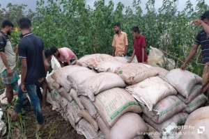 মধ্যনগরে কবরস্থান থেকে ১শ' বস্তা চিনি জব্দ