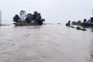 সুনামগঞ্জে হাওর থেকে শহর পর্যন্ত বন্যা আতঙ্ক