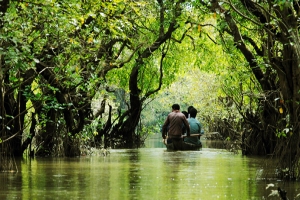 প্রকৃতির লীলাভূমি রাতারগুল পর্যটন আকর্ষণ হারাচ্ছে, কমছে পর্যটক
