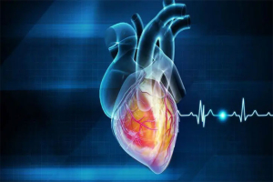 হৃদরোগ এড়াতে প্রতিদিনের খাবারে যে পরিবর্তন জরুরি