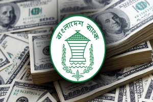 আকুর বিল পরিশোধের পর রিজার্ভ রইল ৩০.৩১ বিলিয়ন ডলার
