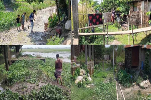শান্তিগঞ্জে ৮শ’ ফুট কাঁচা সড়কে দুর্ভোগ, বর্ষায় বাঁশের সাঁকোই ভরসা