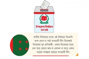 উপজেলা নির্বাচন নিয়ে কঠোর আওয়ামীলীগ