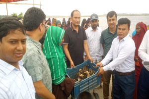 ফসল হারানো সদস্যদের মাঝে ব্রাকের দুই হাজার হাঁস বিতরণ