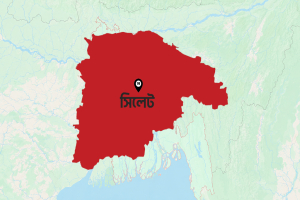 সিলেটে হাম ও নিউমোনিয়ায় তিন শিশুর মৃত্যু