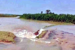 সুনামগঞ্জে স্বস্তির বৃষ্টিতেও উৎকণ্ঠা