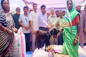 মাধবপুরে ক্ষুদ্র নৃ-গোষ্ঠীর মাঝে ছাগল ও উপকরণ বিতরণ