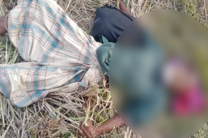 ধান ক্ষেত থেকে অজ্ঞাত বৃদ্ধের লাশ উদ্ধার 
