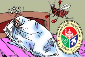নগরজুড়ে বেড়েছে মশার উপদ্রব