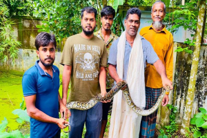 বাবা হারানোর শোকের মাঝেই অজগর উদ্ধার করলেন সজল বাবা হারানোর শোকের মাঝেই অজগর উদ্ধার করলেন সজল