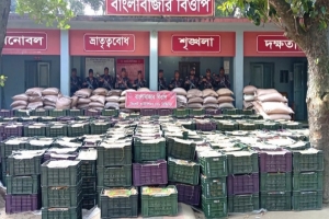 সিলেটে বিজিবির অভিযানে দেড় কোটি টাকার চোরাই মালামাল জব্দ