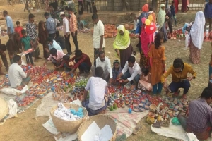 মধ্যনগরে পহেলা শনিবারে ঐতিহ্যবাহী ফাল্গুনী মেলা