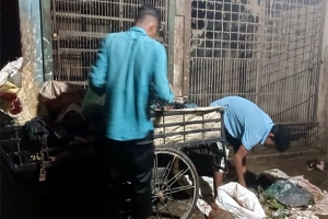 ফেলে দেওয়া পশুর উচ্ছিষ্ট থেকে কোটি টাকার ব্যবসা