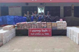 সিলেট সীমান্তে প্রায় কোটি টাকার পণ্য জব্দ