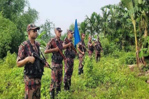 হবিগঞ্জ সীমান্তে ৯ ভারতীয় গরু ও ৬৬ বোতল মদ জব্দ হবিগঞ্জ সীমান্তে ৯ ভারতীয় গরু ও ৬৬ বোতল মদ জব্দ