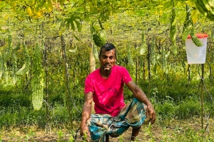 করলা চাষে গ্রামের নামই পাল্টে দিয়েছেন কৃষকরা!