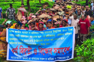 চার দাবিতে গুলনী চা বাগানে তৃতীয় দিনের কর্মবিরতি চার দাবিতে গুলনী চা বাগানে তৃতীয় দিনের কর্মবিরতি