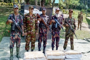 সিলেট ভারতীয় গরুর মাংস ও চিনি  আটক 