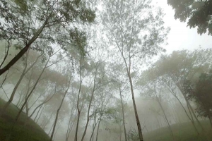 চায়ের রাজ্য শ্রীমঙ্গলে দেশের সর্বনিম্ন তাপমাত্রা