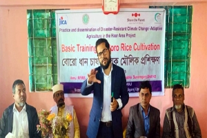 শান্তিগঞ্জে বোরো ধান চাষ বিষয়ক মৌলিক প্রশিক্ষণ