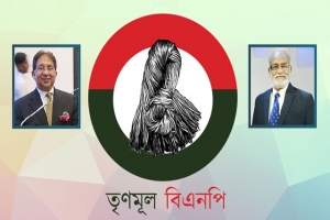 'আম ছালা' দু'টাই গেল তৃণমূল বিএনপি