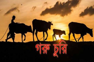 গোয়াইনঘাটে এগ্রো ফার্মের গরু চুরি, থানায় অভিযোগ