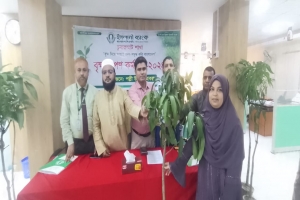 চুনারুঘাটে ইসলামী ব্যাংকের বৃক্ষরোপন কর্মসূচী উদ্বোধন 
