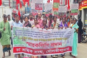 ‌‘বাঁচার মতো মজুরি’ সহ ১০ দফা দাবি চা-শ্রমিকদের