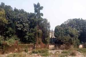 ‘সৌন্দর্যবর্ধনের’ জন্য ৭০টি গাছ কাটতে চায়  হবিগঞ্জ পৌরসভা