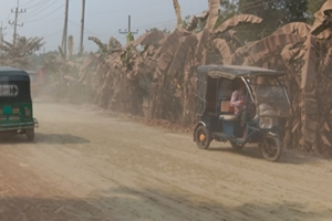 ধুলায় অ্যালার্জির ঘরোয়া সমাধান
