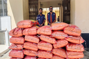 গোয়াইনঘাটে প্রায় সাড়ে ৯ লাখ টাকার ভারতীয় জিরা জব্দ গোয়াইনঘাটে প্রায় সাড়ে ৯ লাখ টাকার ভারতীয় জিরা জব্দ
