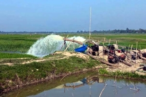 সুনামগঞ্জে কমছে দেশী মাছের উৎপাদন