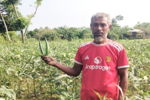 ঢেঁরস চাষে সফল কৃষক আকবর আলী
